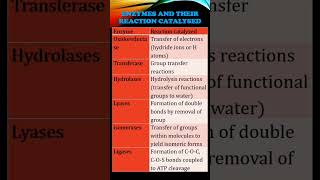 Six Types of Enzymatic Reactions biology [upl. by Sascha]