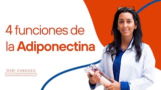 4 funciones de la Adiponectina [upl. by Enoob]