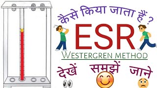 ईएसआर परीक्षण  ESR Test in hindi  Westergren method [upl. by Fiorenza436]