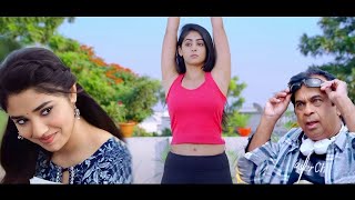 Crazy Crazy  South Hindi Dubbed Action Romantic Love Story Movie  Viswanth Pallak Vennela Movie [upl. by Gilbertine]