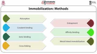 Enzyme Immobilization techniques use of isolated enzymes in industrial processes [upl. by Yelreveb]