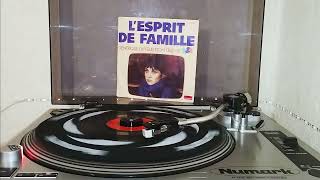 Vava  L esprit de famille Générique du feuilleton TV TF1 1982 [upl. by Annohsak]