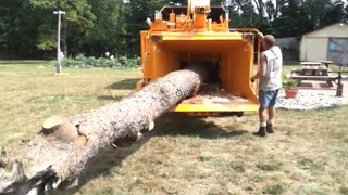 Extreme Fast Wood Chipper Machine Modern Technology  Amazing Wood Processor Big Tree Shredder Easy [upl. by Medorra]