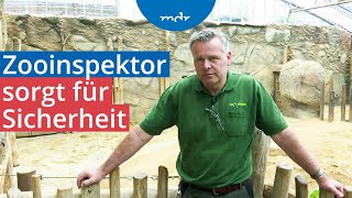 Schutz vor Raubtieren Strenge Sicherheitsvorschriften beim Dresdner Zoo  MDR SACHSENSPIEGEL  MDR [upl. by Cl757]