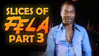 Slices of Fela Part 3 [upl. by Husch44]