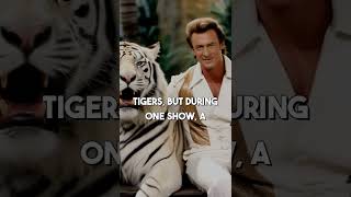 Siegfried amp Roy’s Tiger Attack What Really Happened Behind the Shocking Vegas Incident [upl. by Noteek]