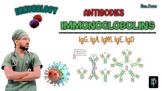 What is Immunoglobulin Functions and Types Explained  Antibodies igG igA  igM igE amp IgD [upl. by Abibah]