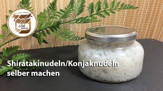 Shiratakinudeln  Konjaknudeln selber machen amp einkochen [upl. by Ahsercel]