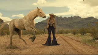 Lainey Wilson  Wildflowers and Wild Horses Official Music Video [upl. by Repohtsirhc]