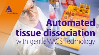 gentleMACS™ Technology – 10 years of automated tissue dissociation [upl. by Gairc]