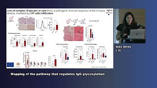 Dr Inês Alves  GlycanSwitch as a key mechanism inthe loss of selftolerance [upl. by Aicatsal]