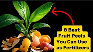 8 Best Fruit Peels You Can Use as Fertilizers [upl. by Esdnil771]