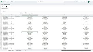 Consulta Rápida de Terceros en la DIAN con Excel VSTO [upl. by Chapin]