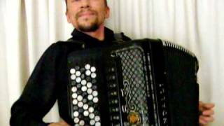 Best Waltzes of STRAUSS  accordion amp band [upl. by Zoara]