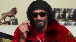 Snoop Lion Presents rTrees First Munchies Awards [upl. by Aydan659]