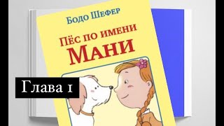 Бодо Шефер «Пес по имени Мани» Глава 1 [upl. by Ariad]