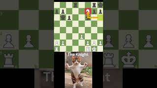 Smothered Mate chess rooksacrifice dailycrossword rookendgame dailypuzzle brilliantchess rook [upl. by Sinnaoi]