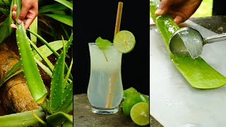 Drink to GLORIOUS Health with Aloe Vera [upl. by Sisto835]