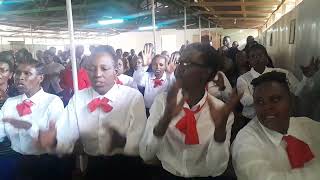 Midundo Mitamu vinanda na tarumbeta  Marian song by ndagani Parish choir 2024 catholicmass [upl. by Aubarta]