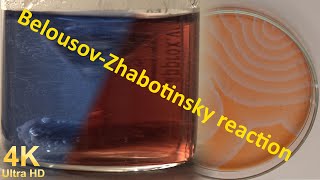 Everything about the Belousov Zhabotinsky reaction [upl. by Ainnek]