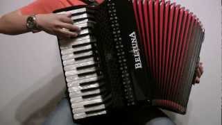 Stereo Love  Edward Maya amp Via Jigulina  Accordion Cover by Stefan Bauer [upl. by Fayina]