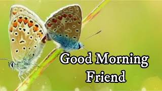 good morning wishes for friends with Quotes Greetings and Messages for Facebook and Whatsapp Free [upl. by Nikal]