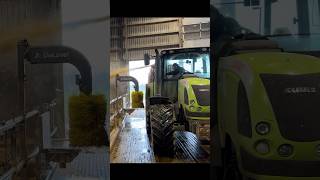 🌾 CLAAS Tractor Lays Straw Bedding in the Cowshed 🚜 [upl. by Seek893]