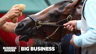 How The Fastest Horse In The Kentucky Derby® Was Bred And Raised To Win  Big Business [upl. by Annayram]