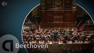 Beethoven Symphony no 3 Eroica  Philippe Herreweghe  Full concert in HD [upl. by Cammi]