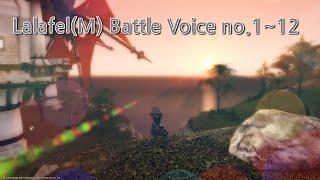 파이널판타지14 목소리유형배틀 정리 4 라라펠남편  Final Fantasy14 Battle Voice Type 4 LalafelM [upl. by Heiney]