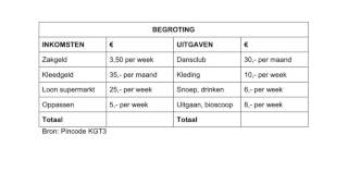 Suvanomics  Een begroting maken [upl. by Ajssatan]