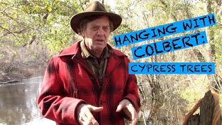 HANGING WITH COLBERT CYPRESS TREE [upl. by Schultz]