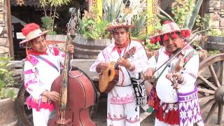 HUICHOLES EN ROSARITO [upl. by Shanahan835]