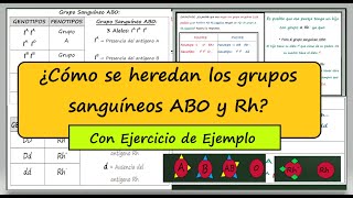 Genética de los Grupos Sanguíneos AB0 y Rh Con Ejercicio de Ejemplo Problema Genética Biología [upl. by Anoniw85]