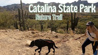 Catalina State Park Nature Trail in Arizona [upl. by Euphemiah]