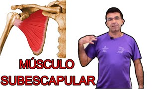 Musculo Subescapular valoración y corrección [upl. by Ri]