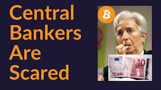 Central Bankers Are Scared [upl. by Hackathorn]