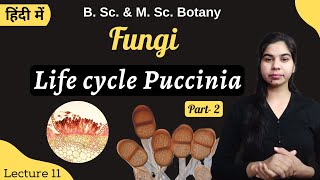 Fungi  Life cycle of Puccinia Part1  in Hindi  Botany  B Sc amp M Sc [upl. by Gabriela]