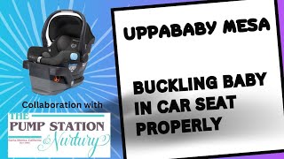 Uppababy Mesa Buckling Baby in Car Seat Properly [upl. by Ikiv]