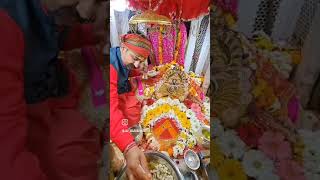 Ma chintapurni ki joti darshan trending chintpurnitemple viralvideo shortvideo shorts [upl. by Eked386]