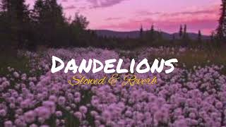 Ruth B  Dandelions Slowed amp Reverb [upl. by Leahcimluap]