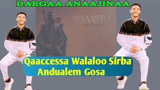 Qaaccessa Sirba Andualem Gosa Dargaa Anaajinaa [upl. by Shenan]