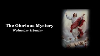 The Holy Rosary Glorious Mysteries with Litany Wednesday amp Sunday [upl. by Enileqcaj]