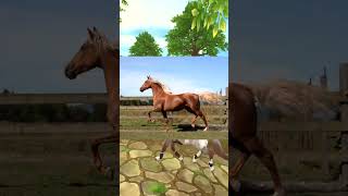 New breed that Star Stable is going to add to the game next year shorts starstable gaming horse [upl. by Netsrik]