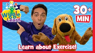 Wiggle and Learn 📚 Fun Exercise Activities for Kids 🤾‍♀️ Get Strong and Healthy with The Wiggles [upl. by Snah626]