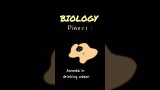 AMOEBA IN DRINKING WATER  PINOCYTOSIS CELL ENDOCYTOSIS  EXOCYTOSIS shortvideo pinocytosis [upl. by Ginnifer]