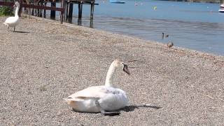 Lago di Bracciano e Trevignano Romano [upl. by Eelynnhoj785]