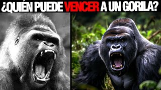 7 animales que pueden VENCER A UN GORILA [upl. by Nazar545]