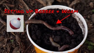 Trout Fishing Worms  How To Set Up Bobber amp Worm For Trout Fishing Lakes Or Ponds [upl. by Kiryt]