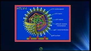 Lecture 26 RNA Enveloped Viruses  7 [upl. by Georgianne]